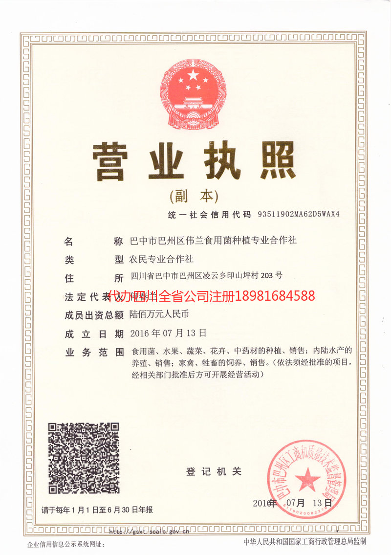 华蓥华蓥伟兰食用菌种植专业合作社